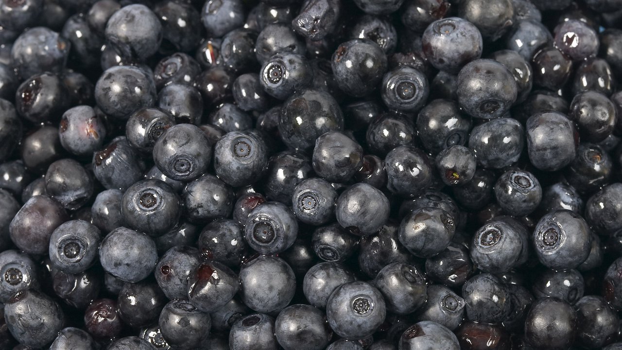 Обои черная, черника, сладкая, black, blueberries, sweet разрешение 2560x1600 Загрузить