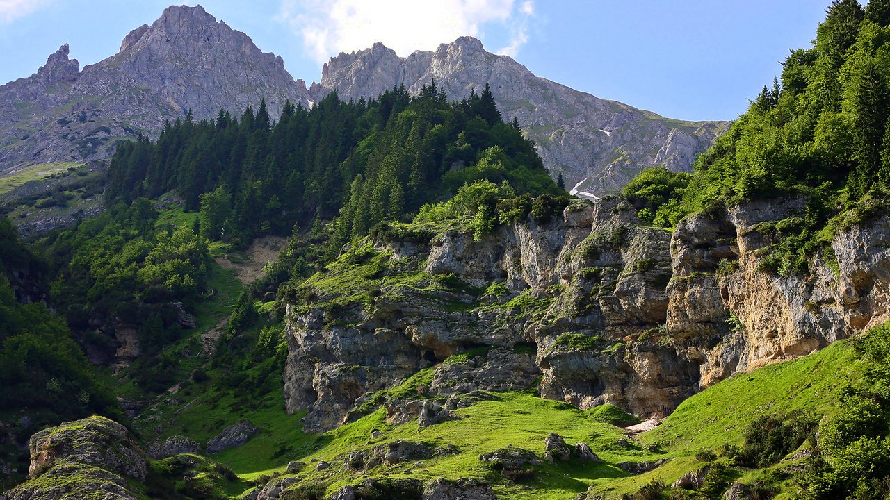 Обои деревья, горы, скалы, лес, ками, trees, mountains, rocks, forest, kami разрешение 1920x1200 Загрузить