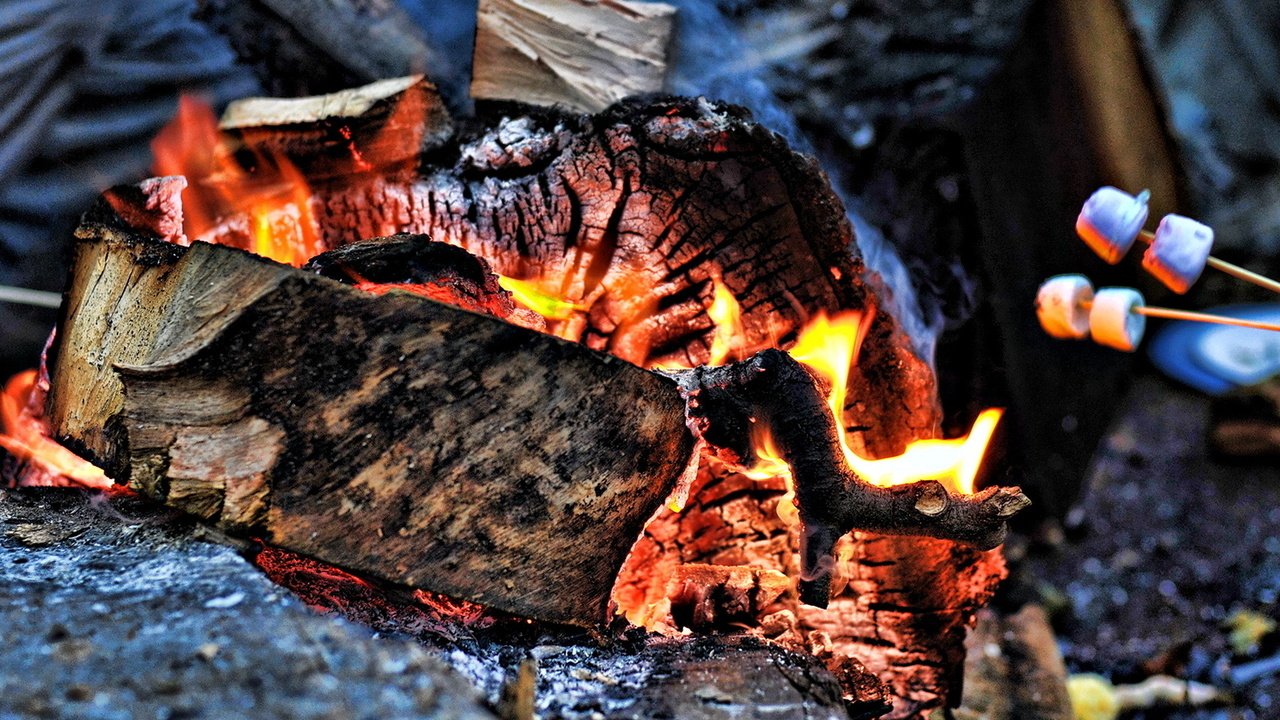 Обои огонь, угли, костёр, древесина, fire, coal, the fire, wood разрешение 1920x1200 Загрузить