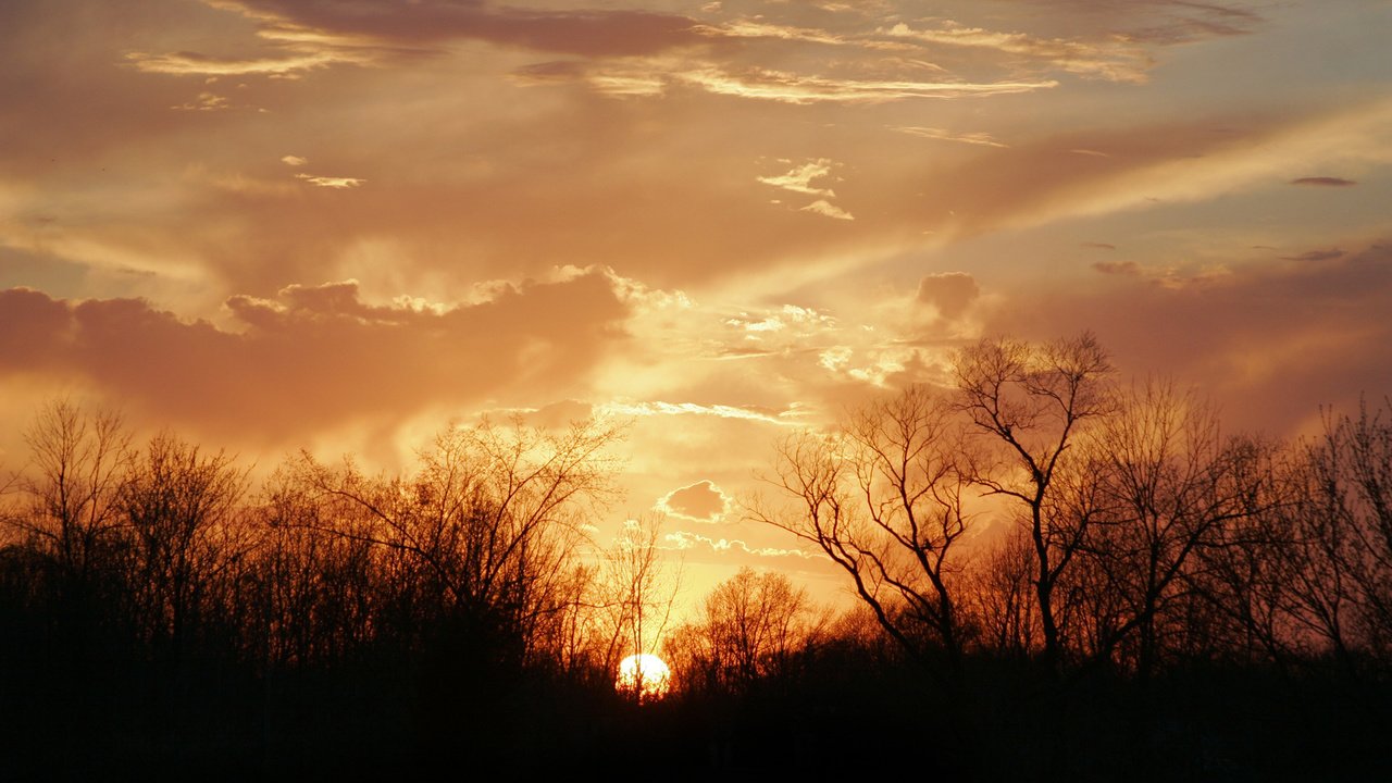 Обои облака, деревья, солнце, закат, clouds, trees, the sun, sunset разрешение 1920x1200 Загрузить