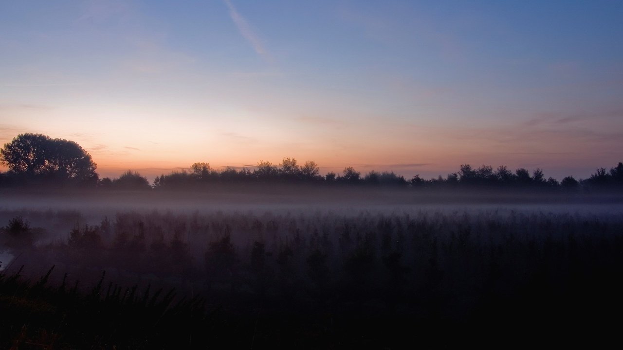 Обои туман, поле, луна, fog, field, the moon разрешение 1920x1440 Загрузить