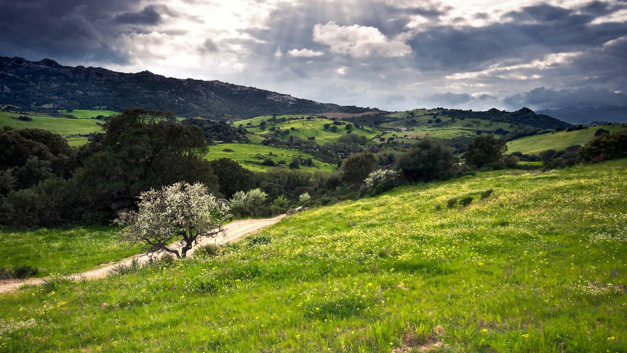 Обои холмы, зелень, италия, сардиния, hills, greens, italy, sardinia разрешение 2560x1600 Загрузить