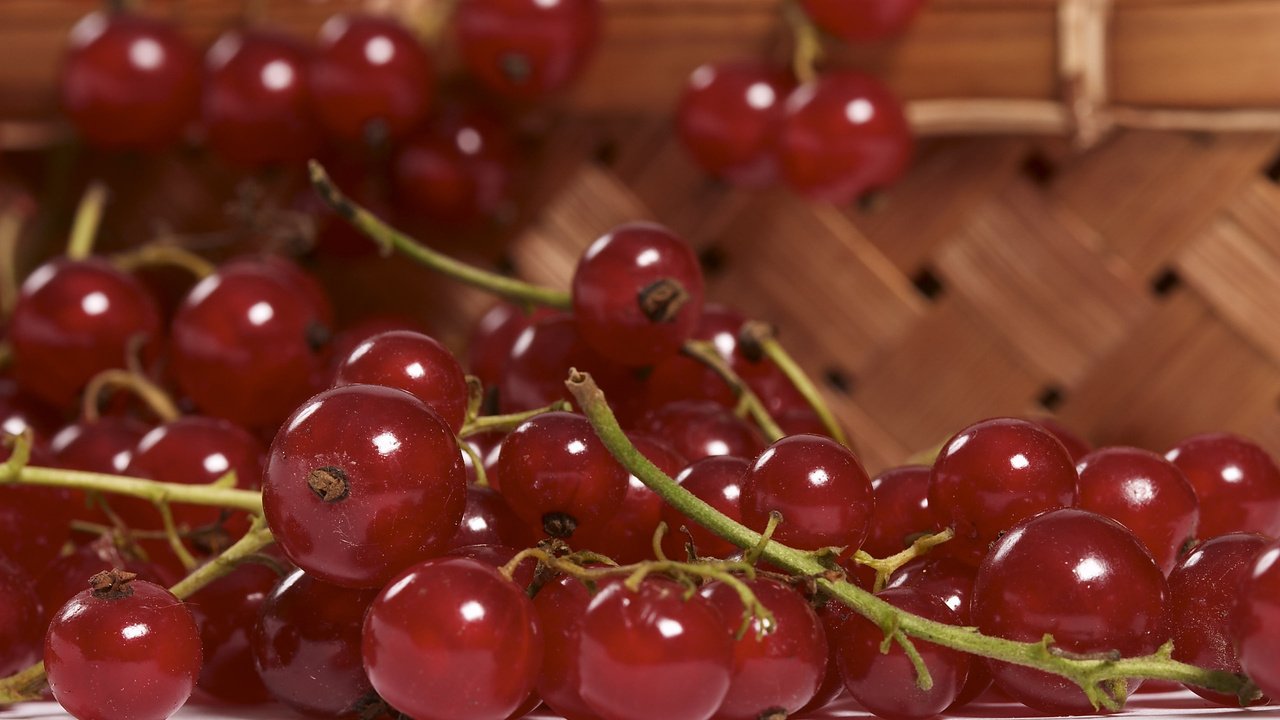 Обои макро, еда, ягоды, красная смородина, смородина, macro, food, berries, red currant, currants разрешение 2560x1600 Загрузить