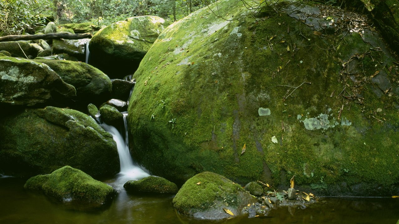 Обои камни, водопад, мох, stones, waterfall, moss разрешение 2560x1600 Загрузить