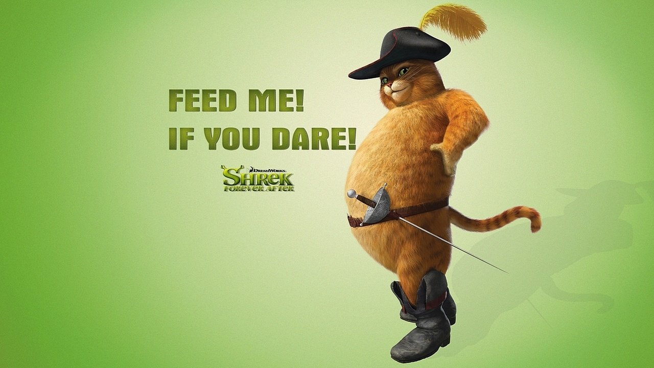 Обои кот, шрек, пузо, приколы, из мультфильма, cat, shrek, belly, fun, cartoon разрешение 1920x1080 Загрузить