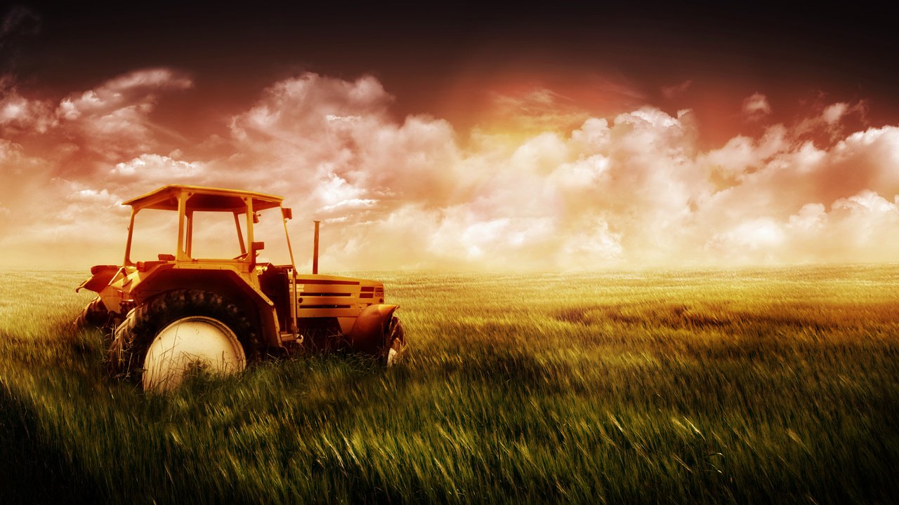 Обои небо, трава, поле, пшеница, трактор, the sky, grass, field, wheat, tractor разрешение 1920x1200 Загрузить