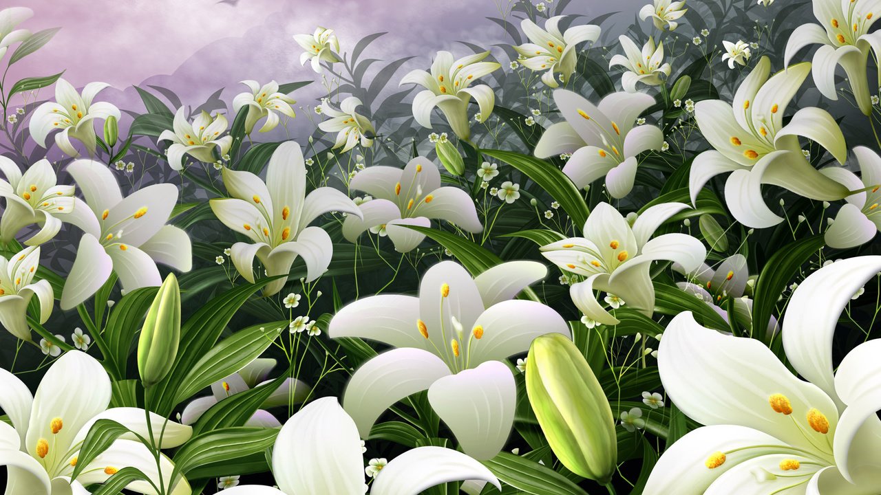 Обои цветы, сад, лилии, почки, flowers, garden, lily, kidney разрешение 1920x1200 Загрузить