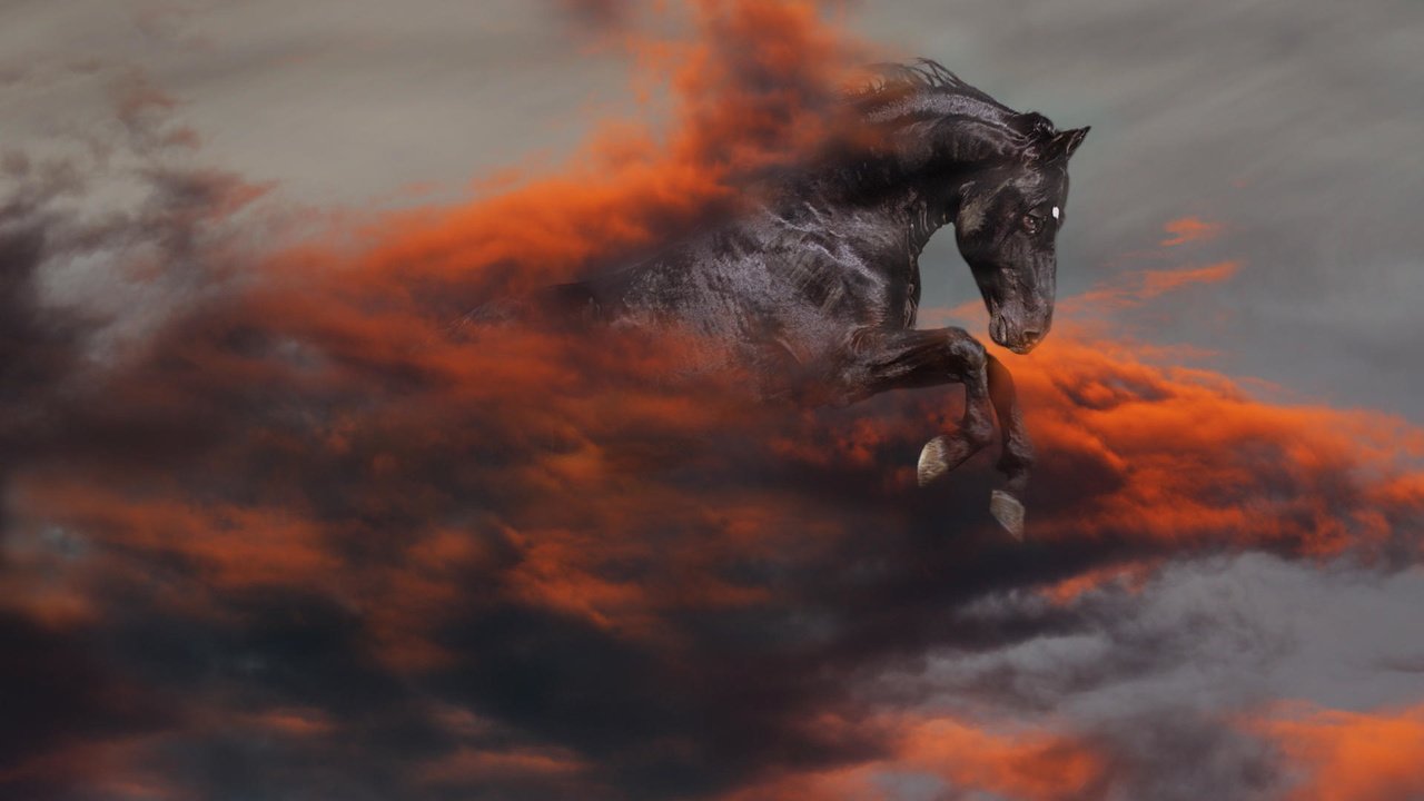 Обои лошадь, черный, апокалипсис, конь, horse, black, apocalypse разрешение 1920x1080 Загрузить