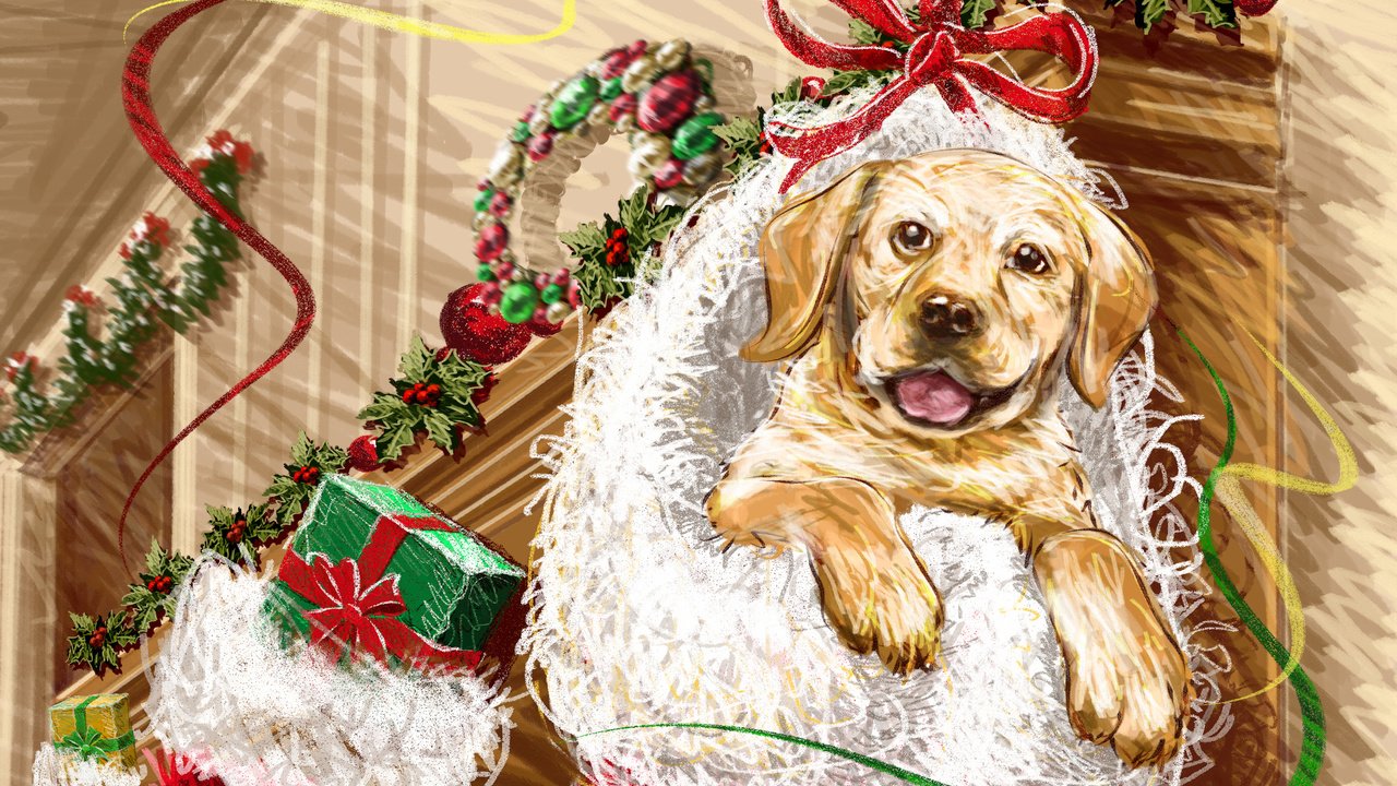 Обои новый год, подарки, щенок, new year, gifts, puppy разрешение 2560x1670 Загрузить