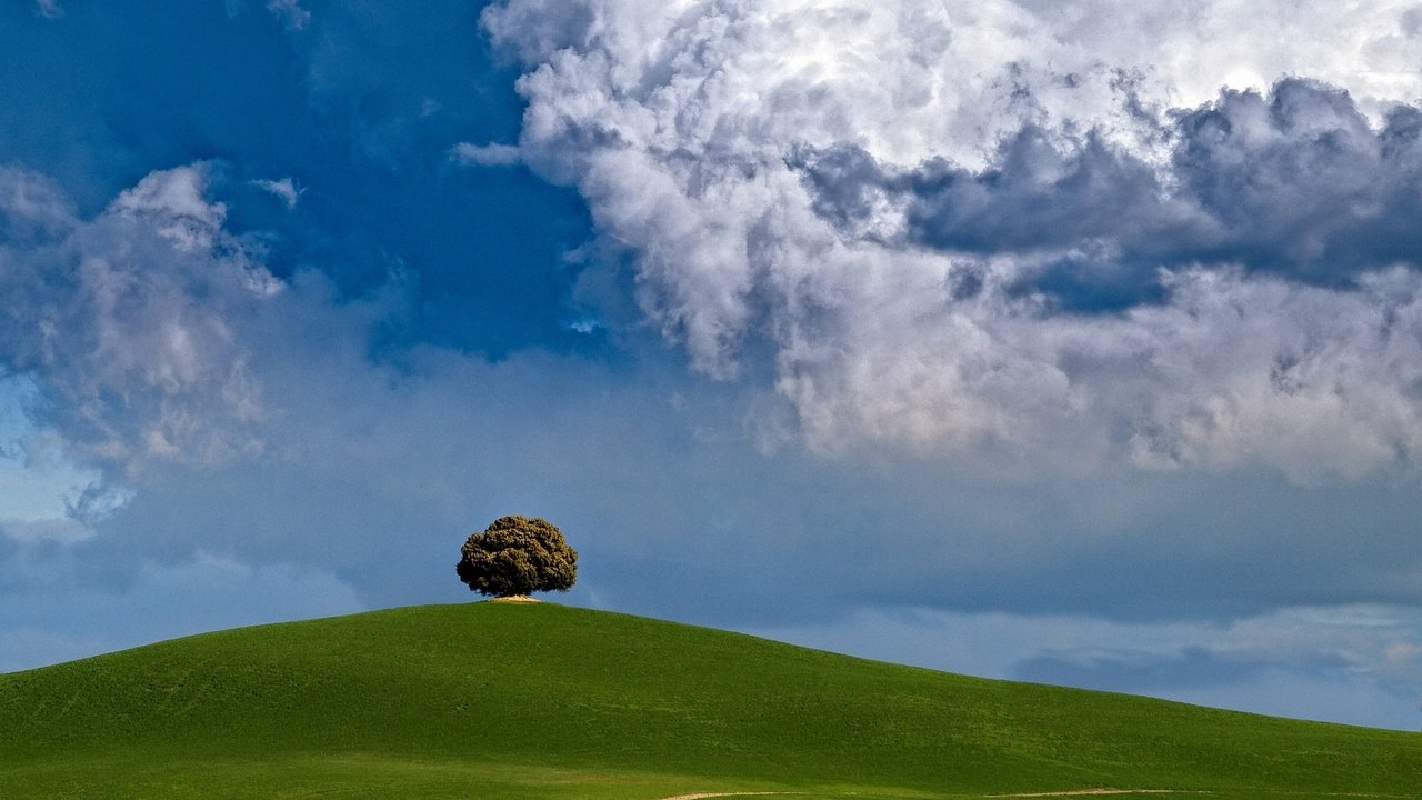 Обои облака, дерево, холм, clouds, tree, hill разрешение 2200x1650 Загрузить