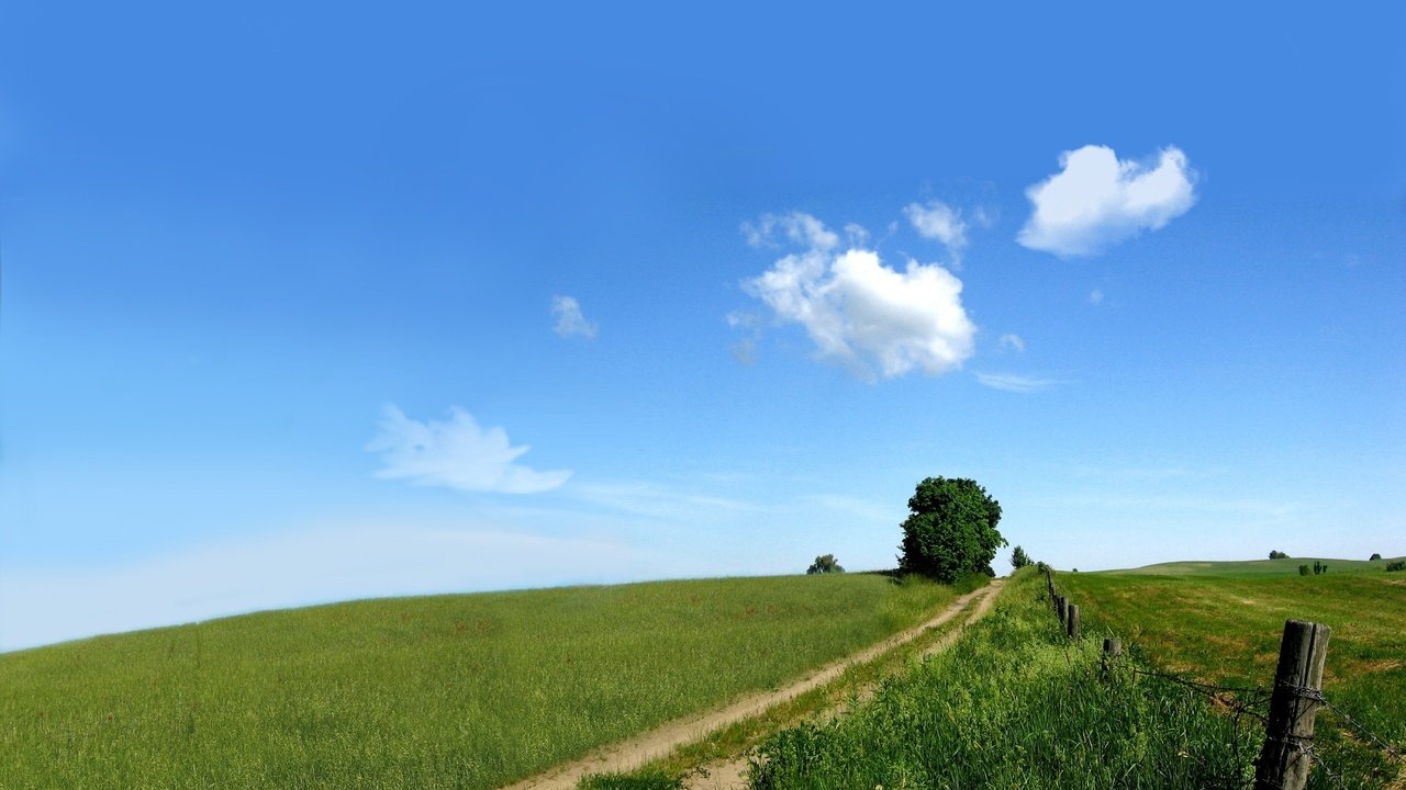 Обои небо, дорога, природа, зелень, поле, the sky, road, nature, greens, field разрешение 2560x1600 Загрузить