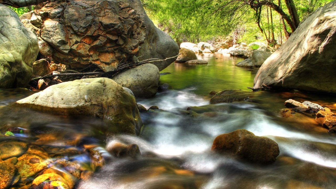 Обои камни, лес, ручей, stones, forest, stream разрешение 1920x1200 Загрузить