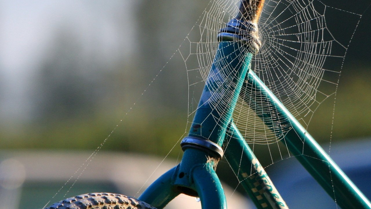 Обои паутина, велосипед, web, bike разрешение 1920x1440 Загрузить