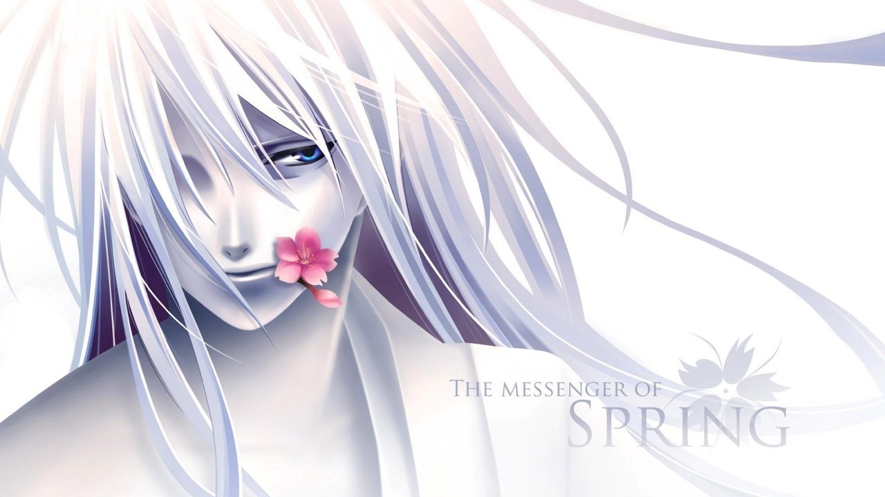 Обои цветок, парень, аниме, the messenger of spring, flower, guy, anime разрешение 2000x1400 Загрузить