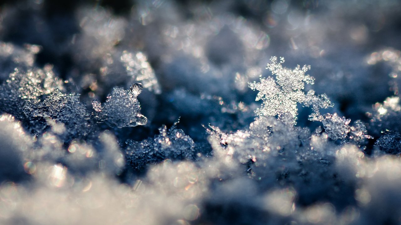 Обои снег, обои, зима, макро, снежинки, фото, фон, snow, wallpaper, winter, macro, snowflakes, photo, background разрешение 2560x1600 Загрузить