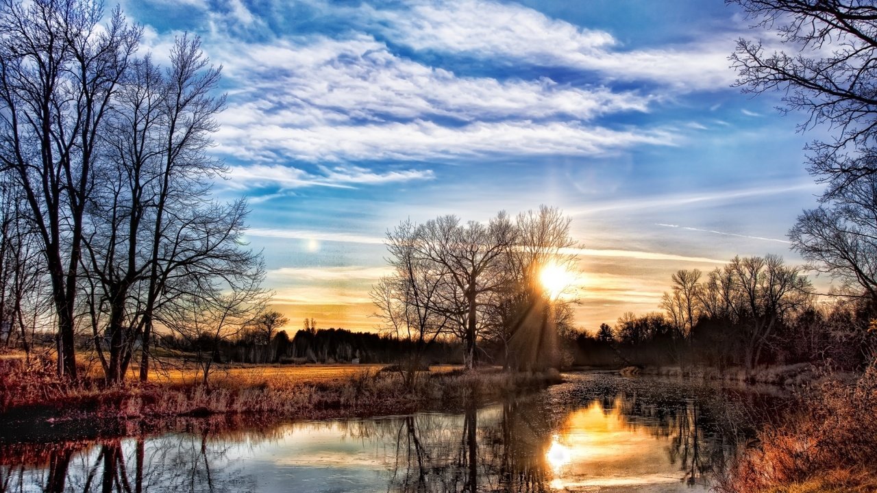 Обои деревья, река, закат, весна, берега, trees, river, sunset, spring, bank разрешение 1920x1200 Загрузить