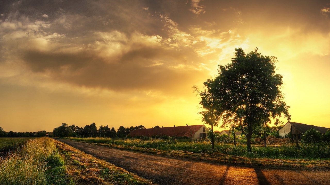 Обои дорога, трава, дерево, road, grass, tree разрешение 1920x1200 Загрузить