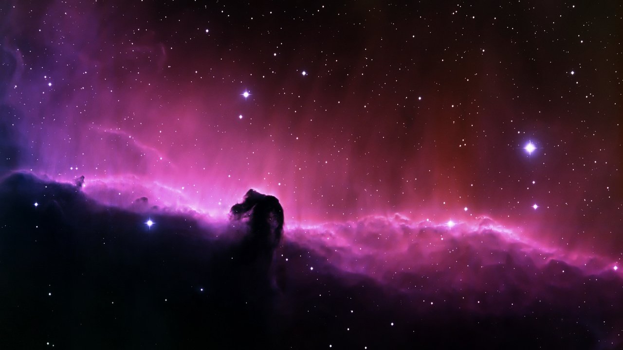 Обои звезды, туманность, конская голова, stars, nebula, horse head разрешение 2560x1600 Загрузить