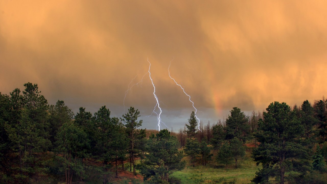 Обои лес, тучи, молния, forest, clouds, lightning разрешение 2560x1600 Загрузить