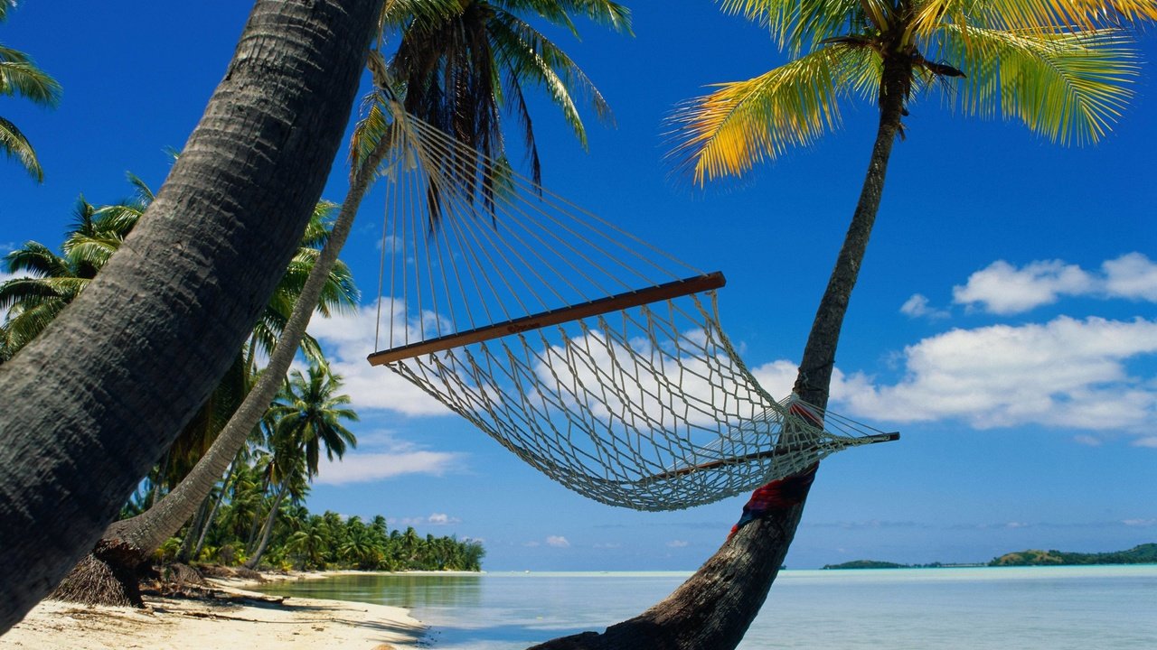 Обои пальмы, релакс, гамак, лагуна, palm trees, relax, hammock, laguna разрешение 4096x3337 Загрузить