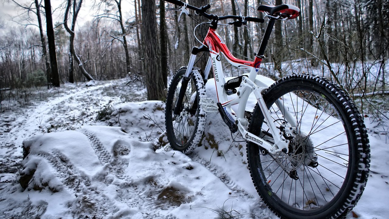 Обои снег, лес, зима, цвет, велосипед, рама, snow, forest, winter, color, bike, frame разрешение 1920x1200 Загрузить