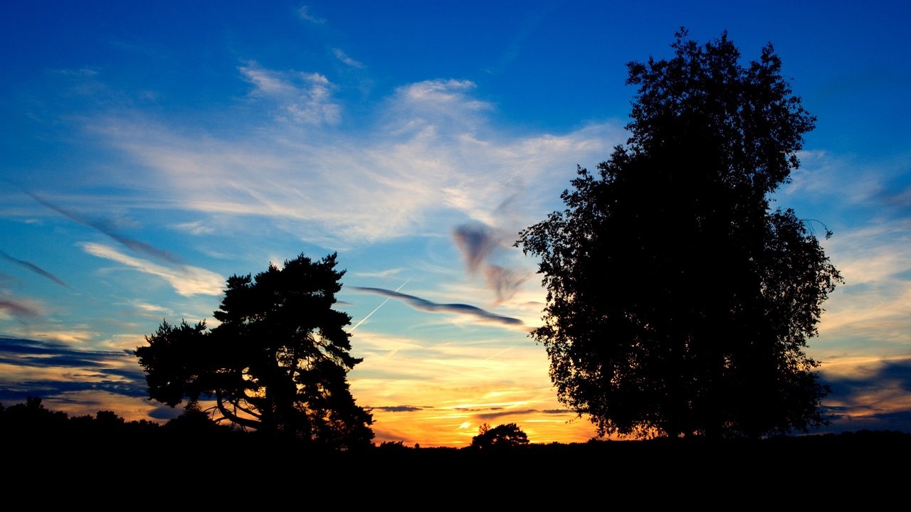 Обои небо, деревья, закат, the sky, trees, sunset разрешение 1920x1080 Загрузить