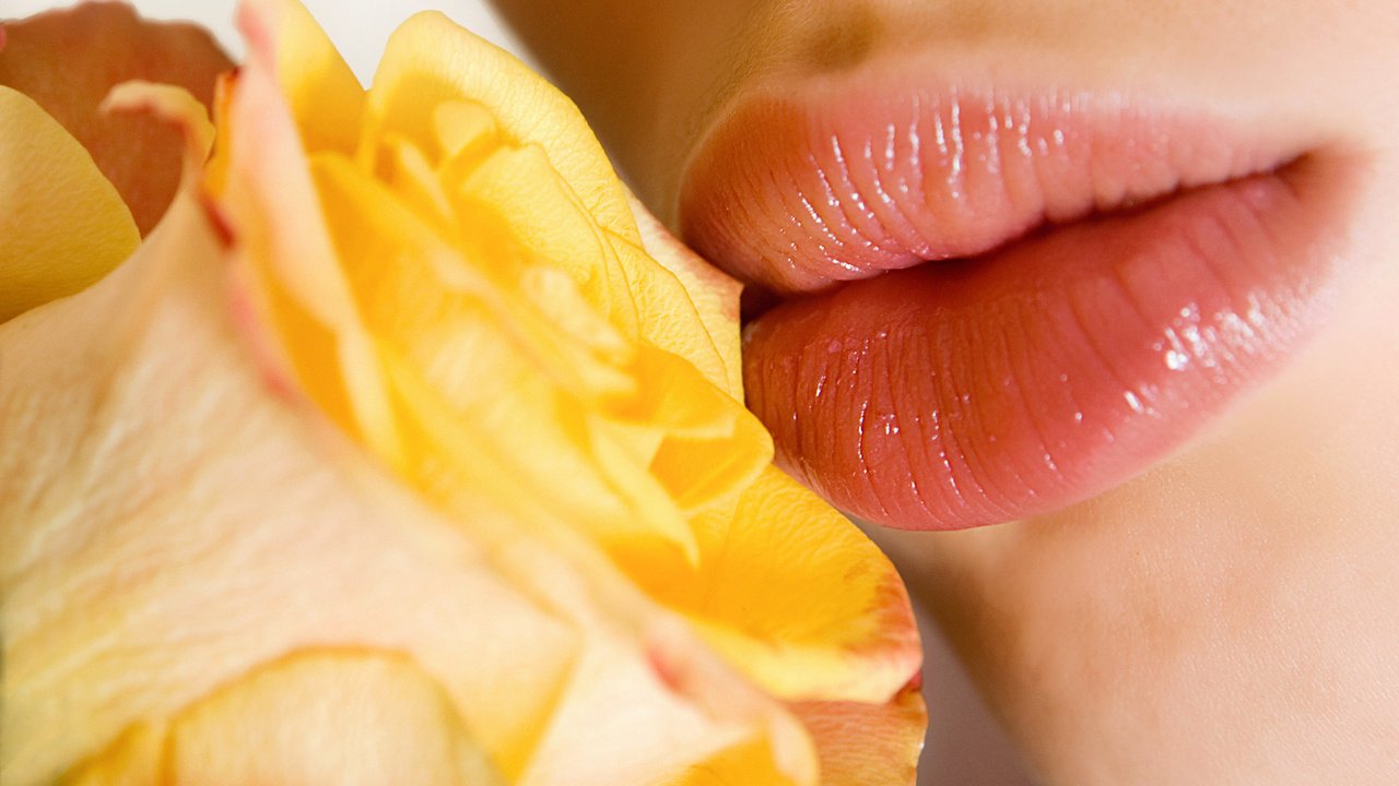 Обои цветы, девушка, роза, лепестки, губы, поцелуй, желтая роза, flowers, girl, rose, petals, lips, kiss, yellow rose разрешение 2560x1600 Загрузить