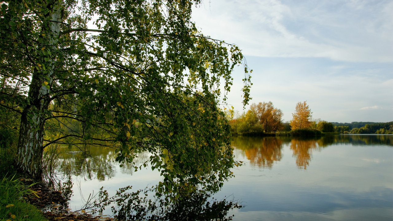 Обои озеро, отражение, осень, береза, lake, reflection, autumn, birch разрешение 1920x1200 Загрузить