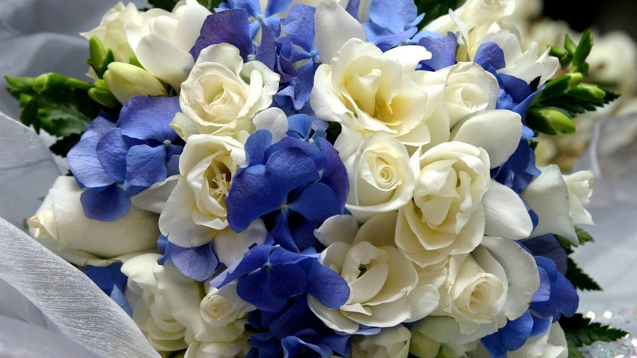 Обои розы, букет, гортензия, гортензия букет, roses, bouquet, hydrangea разрешение 1920x1200 Загрузить