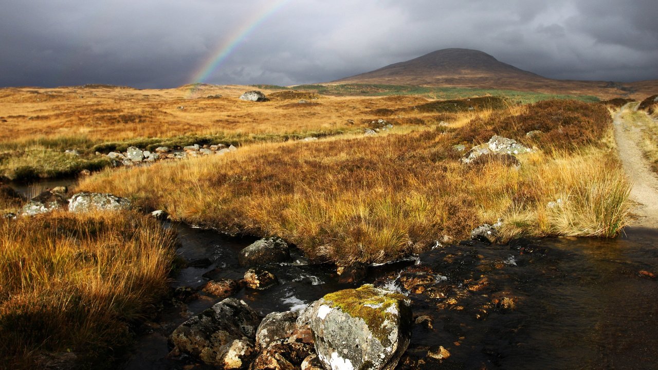 Обои небо, вода, камни, ручей, поле, радуга, холм, the sky, water, stones, stream, field, rainbow, hill разрешение 2560x1600 Загрузить