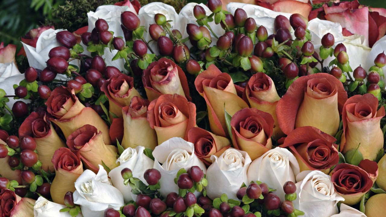 Обои розы, букет, roses, bouquet разрешение 1920x1200 Загрузить