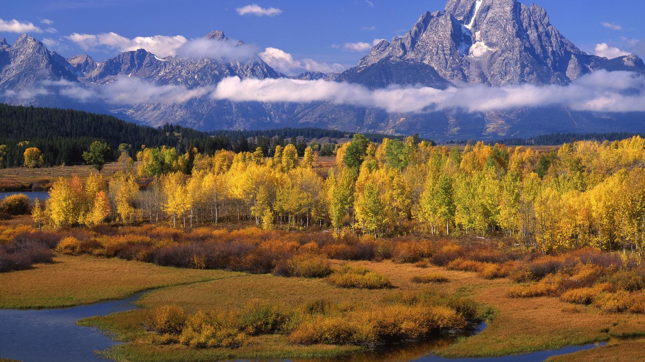 Обои облака, деревья, горы, осень, clouds, trees, mountains, autumn разрешение 1920x1080 Загрузить