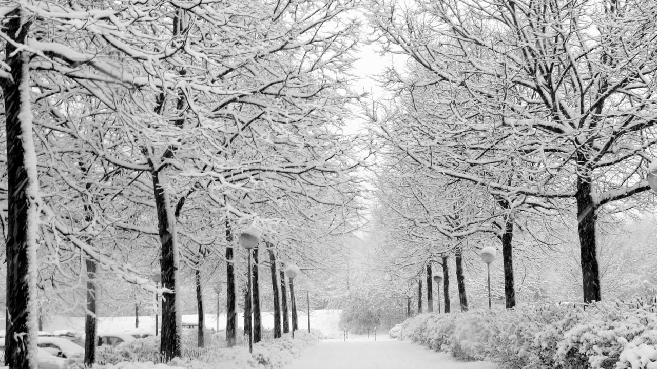 Обои снег, природа, зима, парк, чёрно-белое, аллея, уличный фонарь, snow, nature, winter, park, black and white, alley разрешение 2704x1764 Загрузить