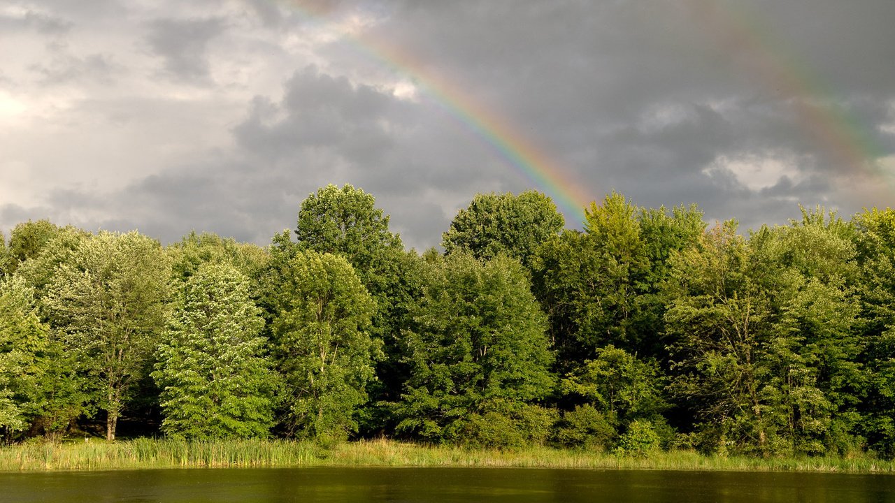 Обои деревья, вода, река, природа, зелень, лес, пейзаж, радуга, trees, water, river, nature, greens, forest, landscape, rainbow разрешение 1920x1200 Загрузить