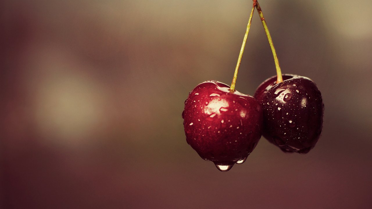 Обои ягода, еда, черешня, вишня, две, капли воды, berry, food, cherry, two, water drops разрешение 1920x1080 Загрузить