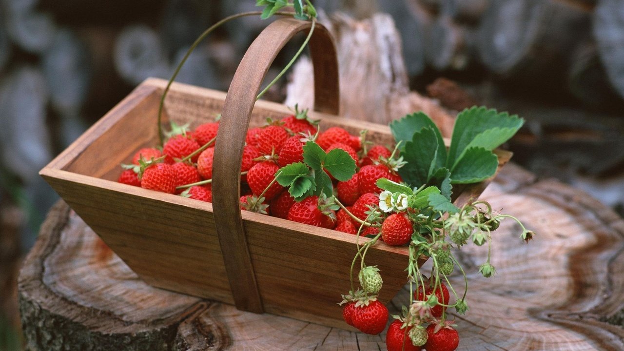 Обои еда, клубника, ягоды, food, strawberry, berries разрешение 2065x1445 Загрузить