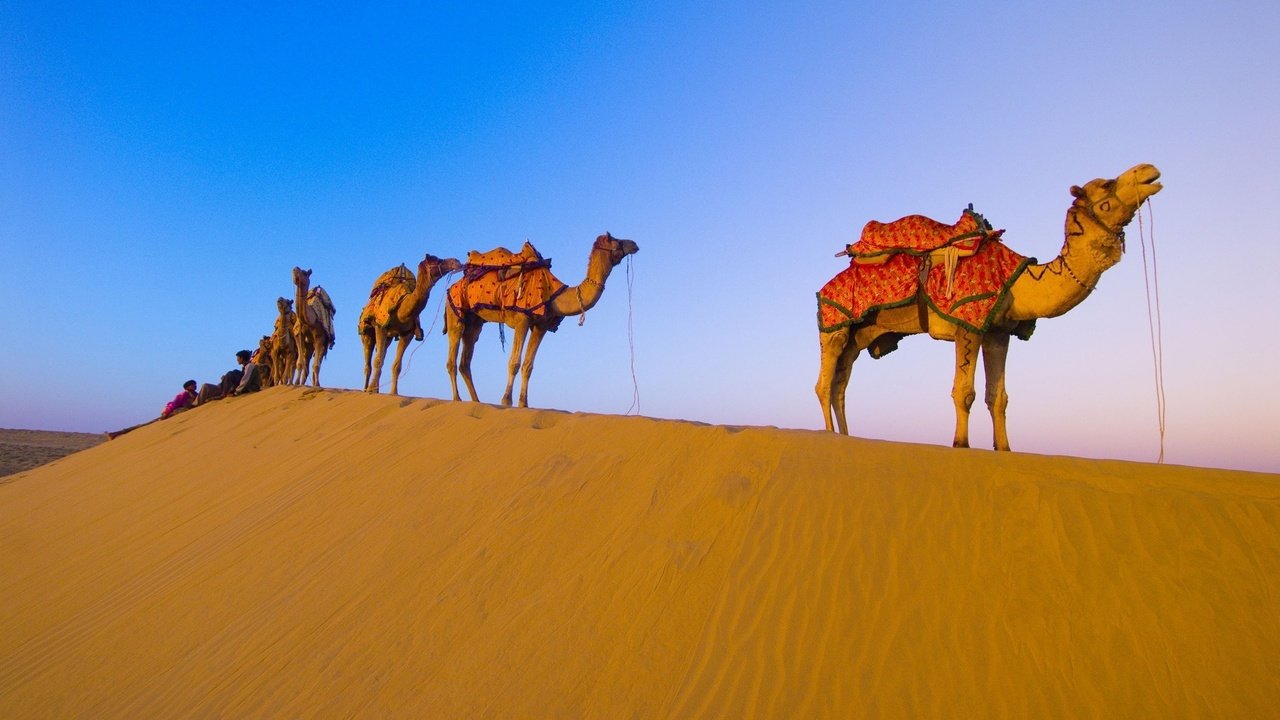 Обои пустыня, караван, верблюды, desert, caravan, camels разрешение 1920x1080 Загрузить