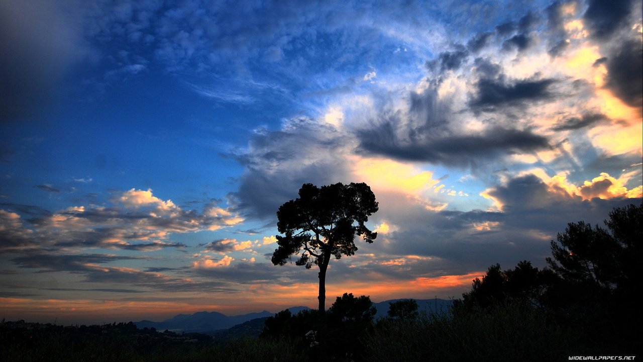 Обои небо, облака, дерево, закат, the sky, clouds, tree, sunset разрешение 1920x1080 Загрузить