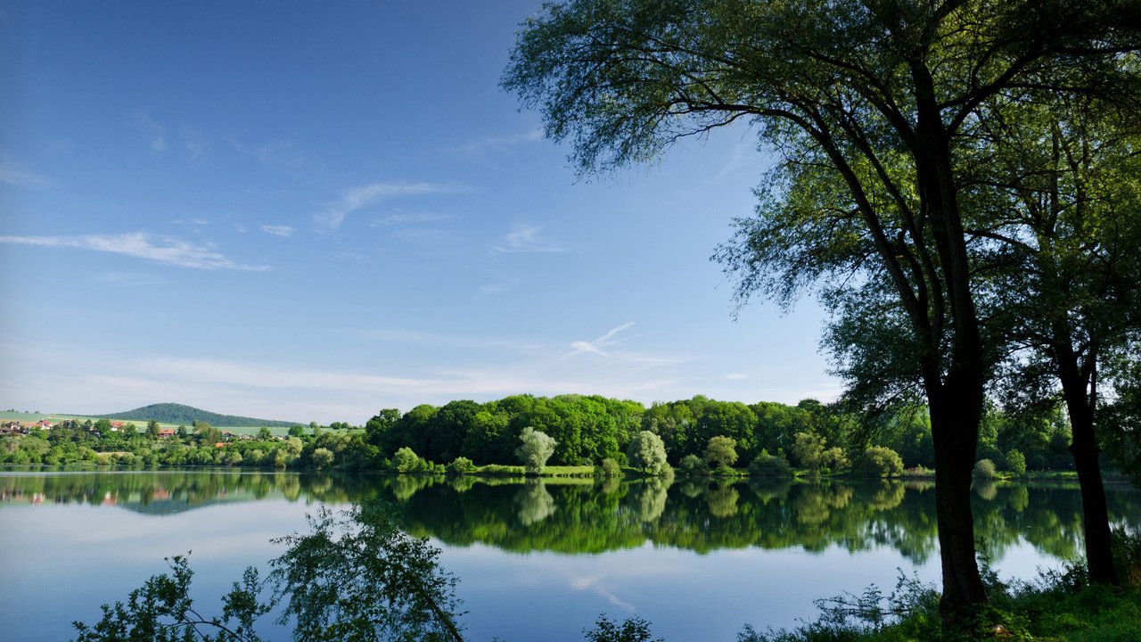 Обои деревья, озеро, река, отражение, лето, водоем, trees, lake, river, reflection, summer, pond разрешение 1920x1200 Загрузить