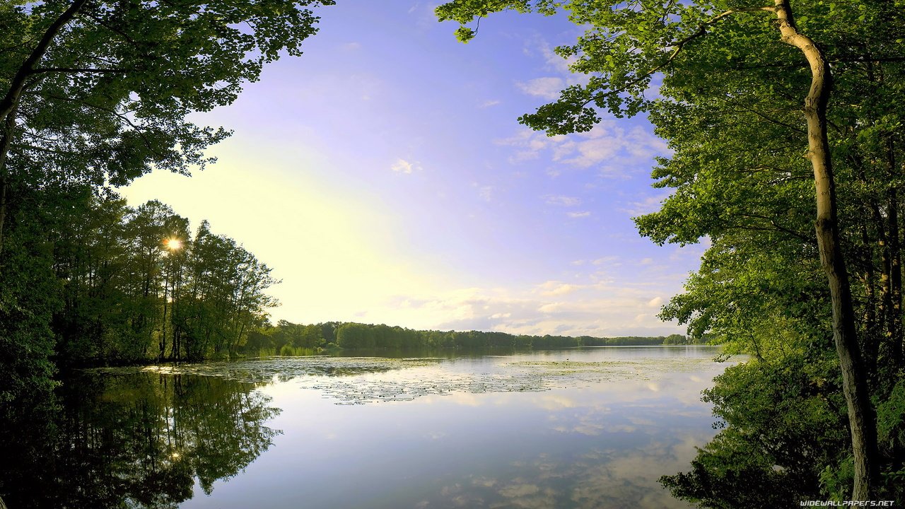 Обои облака, деревья, озеро, clouds, trees, lake разрешение 1920x1080 Загрузить