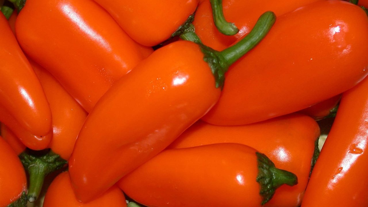 Обои овощи, перец, паприка, vegetables, pepper, paprika разрешение 1920x1200 Загрузить