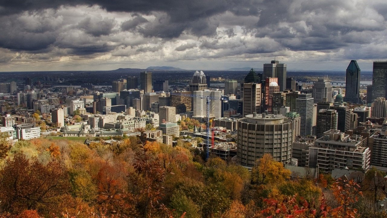 Обои небо, деревья, город, осень, здания, канада, монреаль, the sky, trees, the city, autumn, building, canada, montreal разрешение 1920x1440 Загрузить