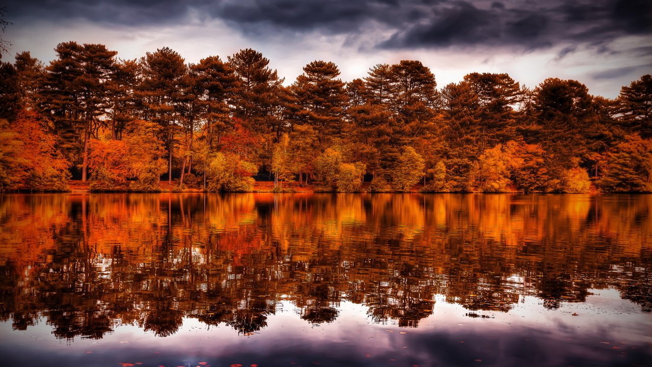 Обои небо, заря, деревья, вода, тучи, отражение, утро, рассвет, осень, the sky, trees, water, clouds, reflection, morning, dawn, autumn разрешение 1920x1200 Загрузить