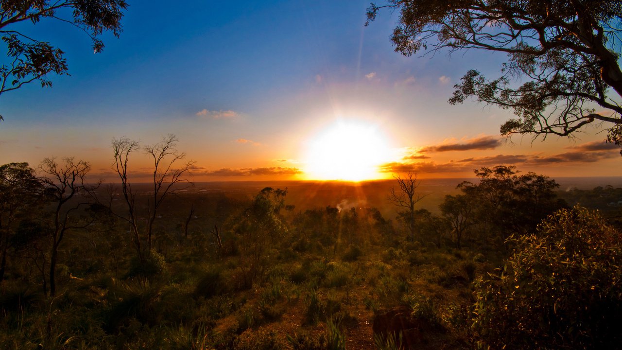 Обои деревья, солнце, закат, горизонт, лето, австралия, trees, the sun, sunset, horizon, summer, australia разрешение 2560x1600 Загрузить