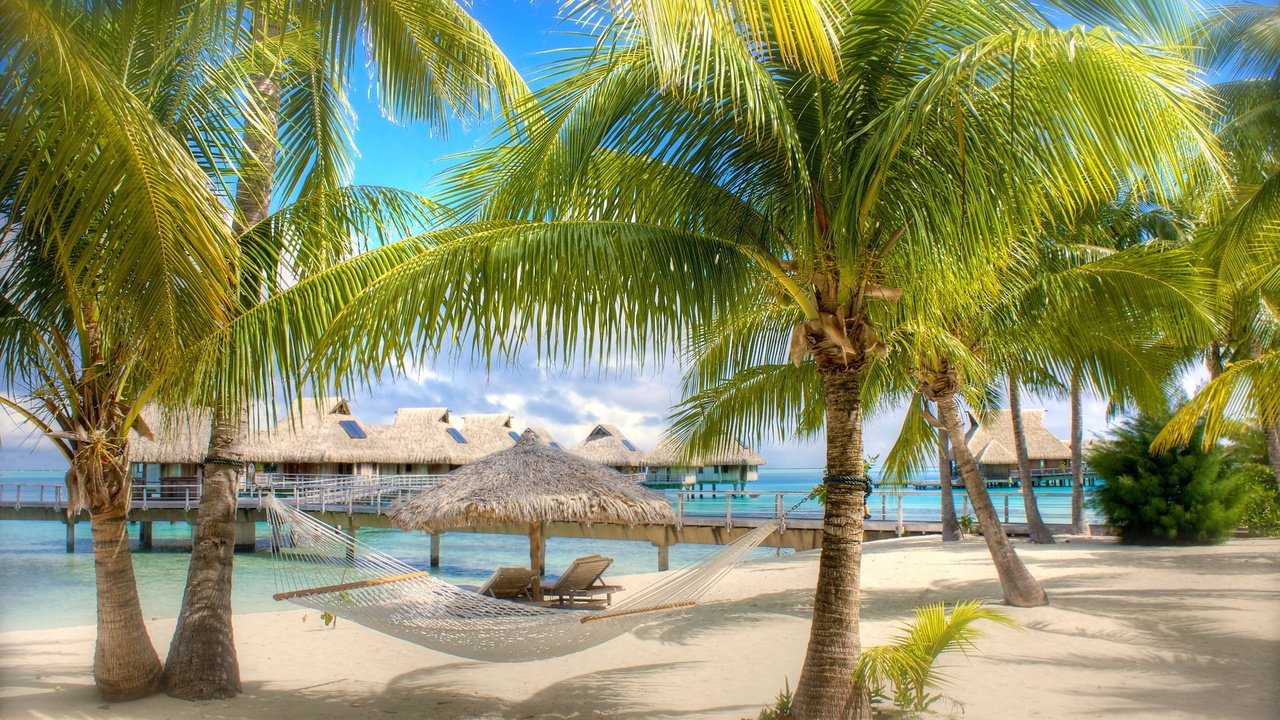 Обои песок, пляж, пальмы, гамак, бунгало, тропики, мальдивы, sand, beach, palm trees, hammock, bungalow, tropics, the maldives разрешение 1920x1080 Загрузить