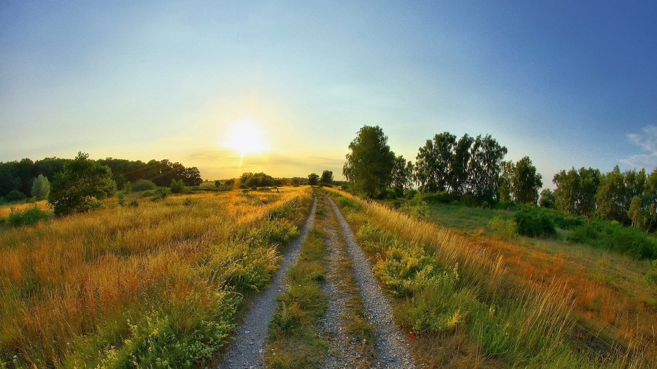 Обои небо, дорога, трава, деревья, восход, солнце, поле, лето, the sky, road, grass, trees, sunrise, the sun, field, summer разрешение 1920x1200 Загрузить