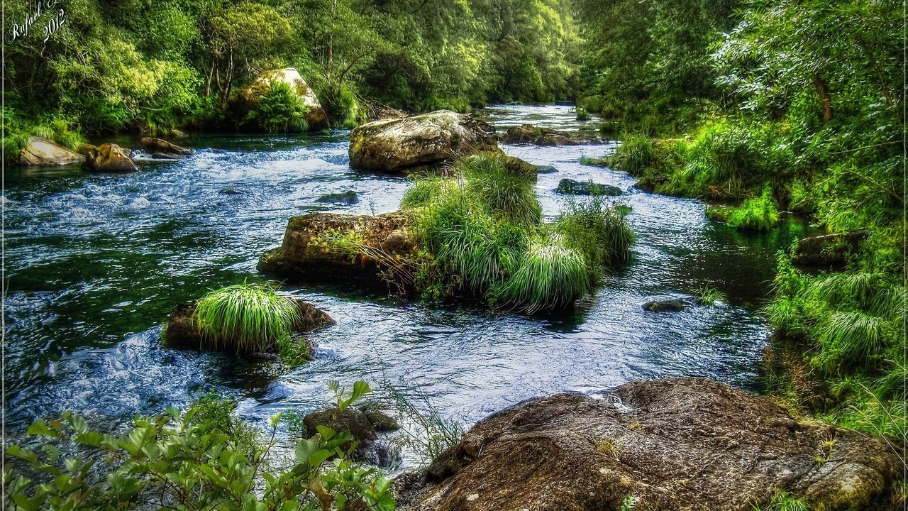 Обои трава, река, камни, лес, пейзаж, поток, grass, river, stones, forest, landscape, stream разрешение 2560x1600 Загрузить