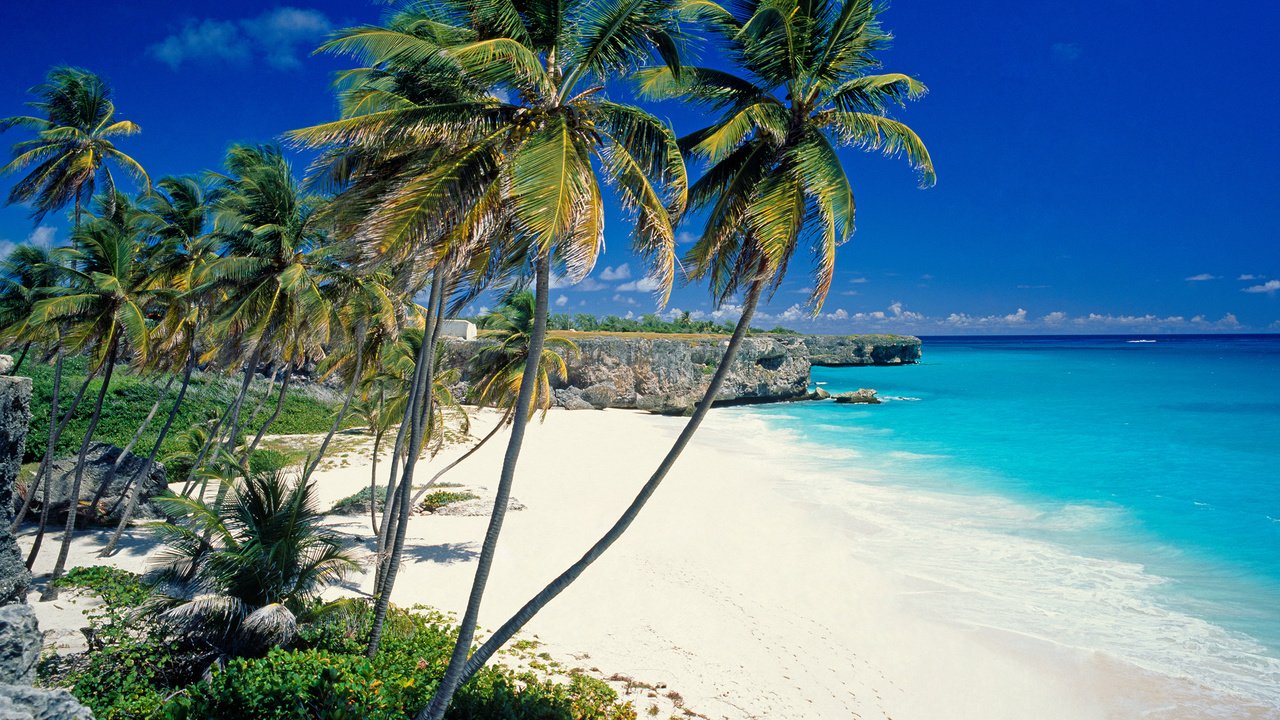 Обои пляж, пальмы, тропики, beach, palm trees, tropics разрешение 2560x1920 Загрузить