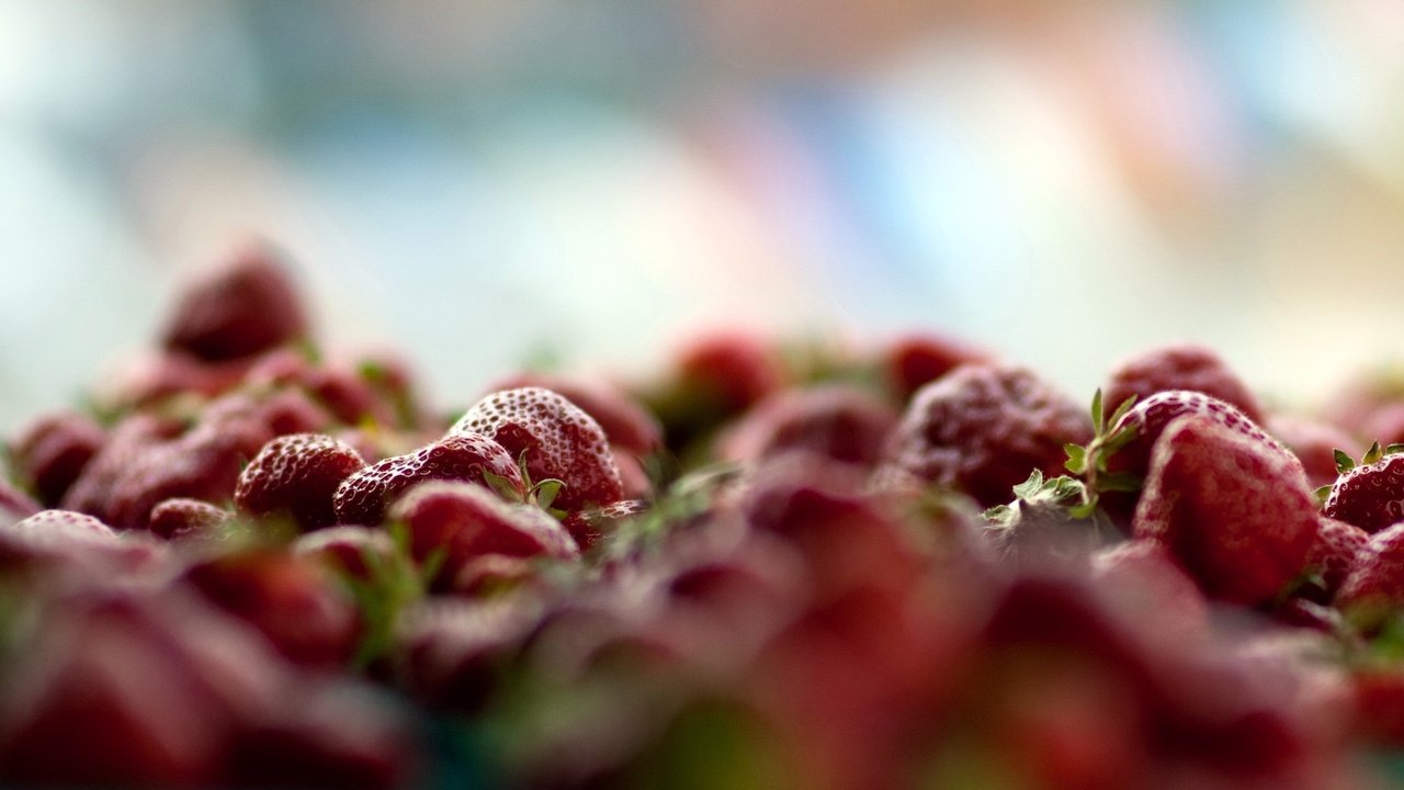 Обои макро, ягода, красная, клубника, много, свежая, macro, berry, red, strawberry, a lot, fresh разрешение 2560x1600 Загрузить
