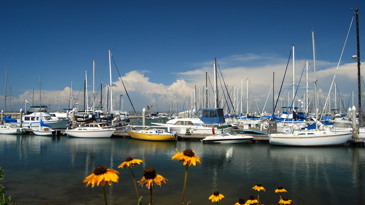 Обои цветы, море, яхты, flowers, sea, yachts разрешение 3872x2592 Загрузить